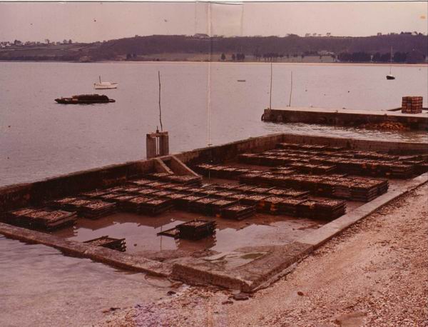 Photo du chantier en 1970